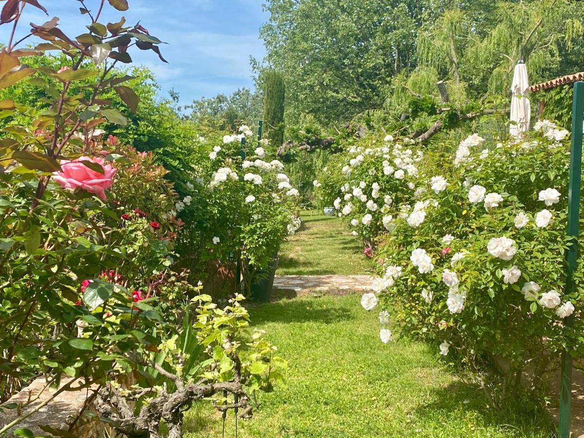 Villa Des Roses Roussillon en Isere Zewnętrze zdjęcie
