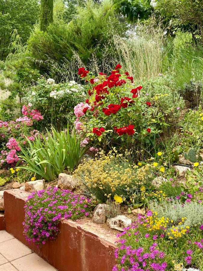 Villa Des Roses Roussillon en Isere Zewnętrze zdjęcie